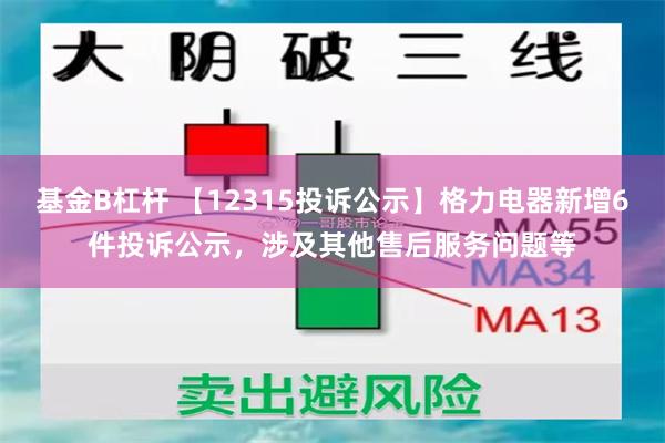 基金B杠杆 【12315投诉公示】格力电器新增6件投诉公示，涉及其他售后服务问题等