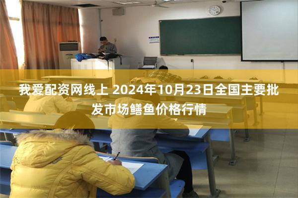 我爱配资网线上 2024年10月23日全国主要批发市场鳝鱼价格行情