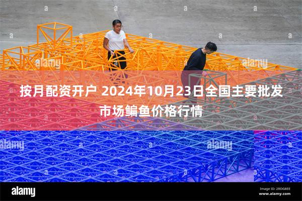 按月配资开户 2024年10月23日全国主要批发市场鳊鱼价格行情