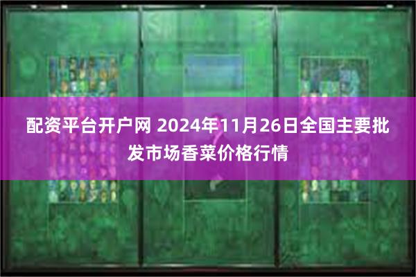 配资平台开户网 2024年11月26日全国主要批发市场香菜价格行情