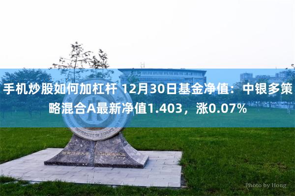 手机炒股如何加杠杆 12月30日基金净值：中银多策略混合A最新净值1.403，涨0.07%