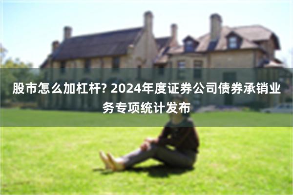 股市怎么加杠杆? 2024年度证券公司债券承销业务专项统计发布