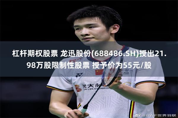 杠杆期权股票 龙迅股份(688486.SH)授出21.98万股限制性股票 授予价为55元/股